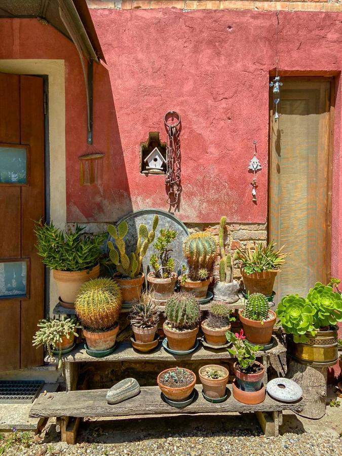 B&B Sant'Anna 21 Monforte dʼAlba Exterior foto