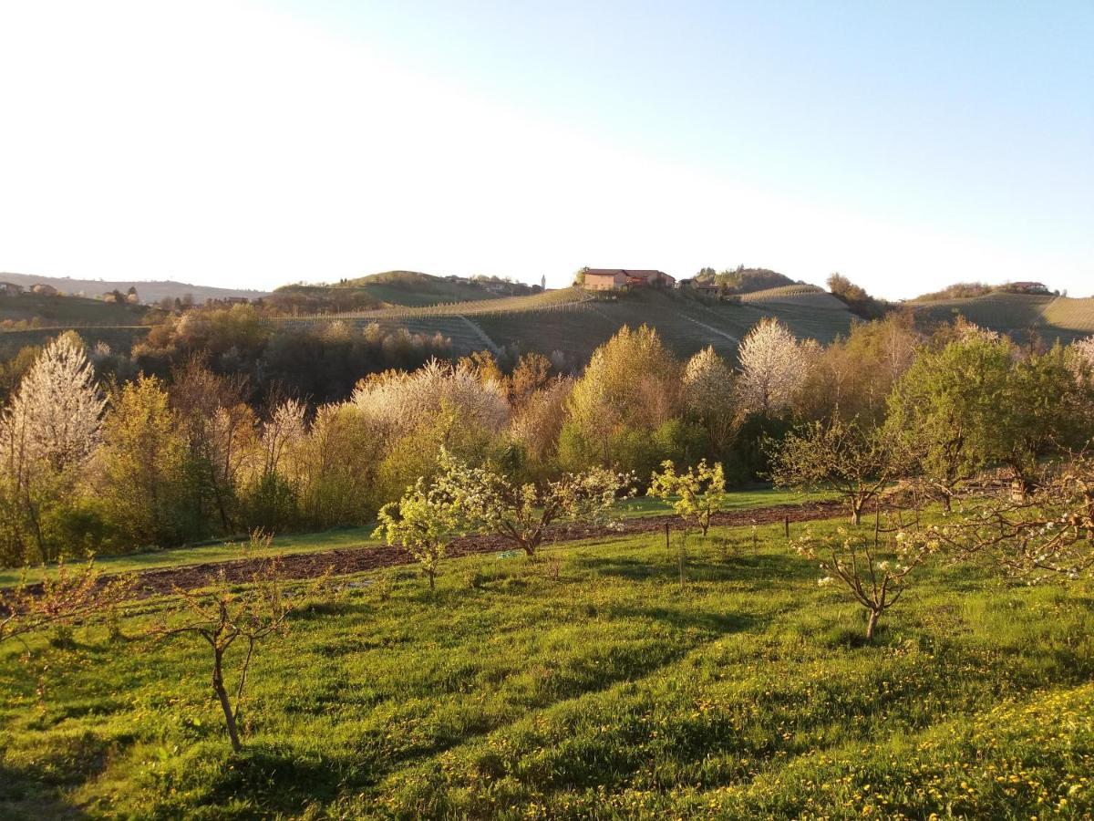 B&B Sant'Anna 21 Monforte dʼAlba Exterior foto